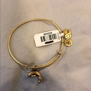 Alex and ani dolphin bracelet